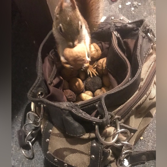 My name is Katrina and I feel very blessed to be a part of the posh community. - Picture 3 of 14